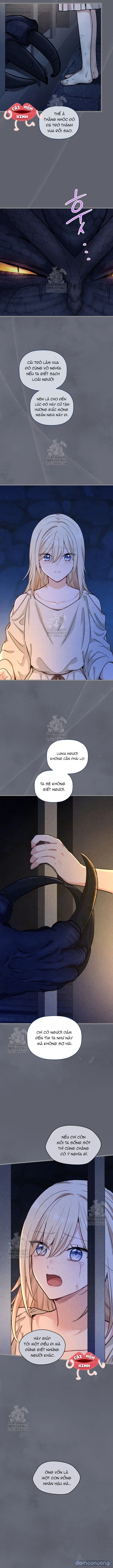 đọc truyện Bệ Hạ, Xin Hãy Quên Tôi Đi Chương 45 ảnh 8 tại Thiên Thai Truyện