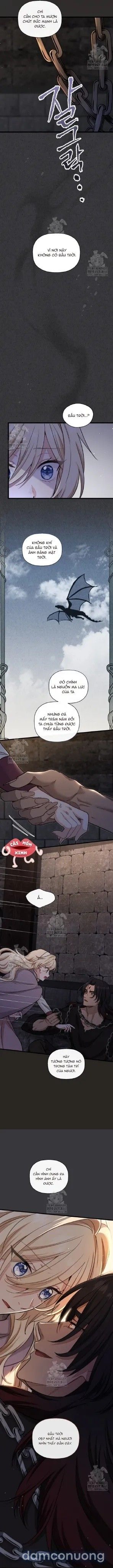 đọc truyện Bệ Hạ, Xin Hãy Quên Tôi Đi Chương 48 ảnh 7 tại Thiên Thai Truyện