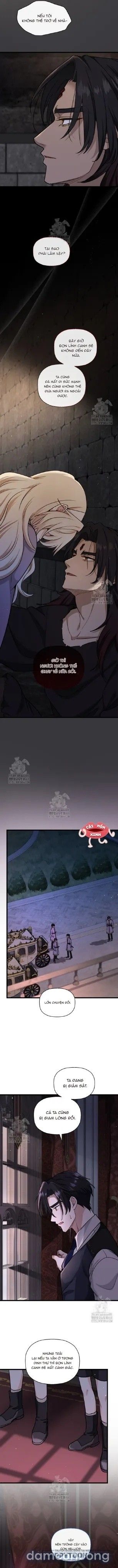 đọc truyện Bệ Hạ, Xin Hãy Quên Tôi Đi Chương 48 ảnh 10 tại Thiên Thai Truyện