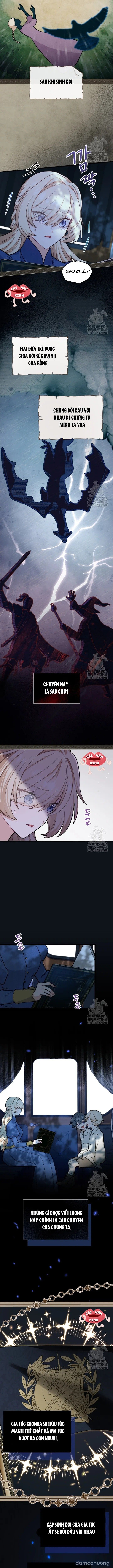 đọc truyện Bệ Hạ, Xin Hãy Quên Tôi Đi Chương 5 ảnh 5 tại Thiên Thai Truyện