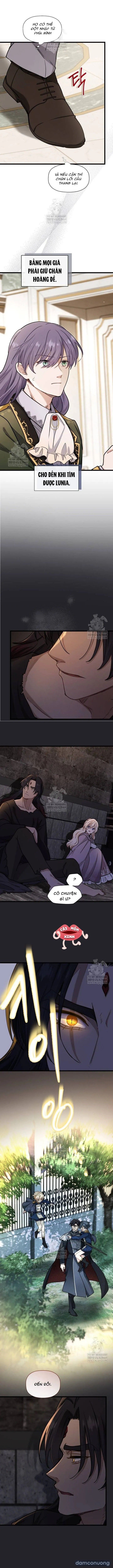 đọc truyện Bệ Hạ, Xin Hãy Quên Tôi Đi Chương 53 ảnh 9 tại Thiên Thai Truyện