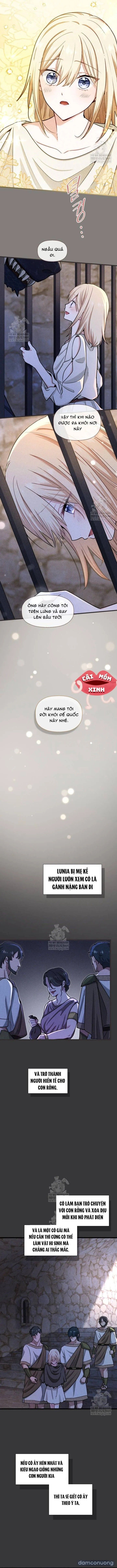 đọc truyện Bệ Hạ, Xin Hãy Quên Tôi Đi Chương 54 ảnh 5 tại Thiên Thai Truyện