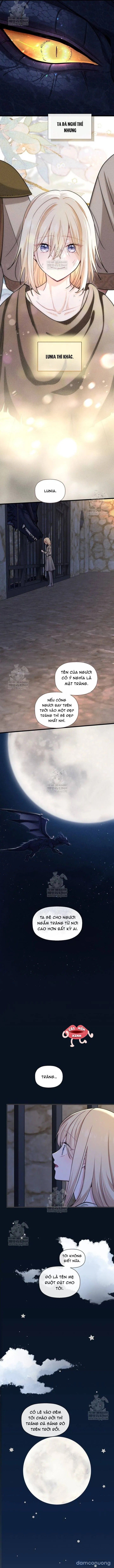 đọc truyện Bệ Hạ, Xin Hãy Quên Tôi Đi Chương 54 ảnh 6 tại Thiên Thai Truyện