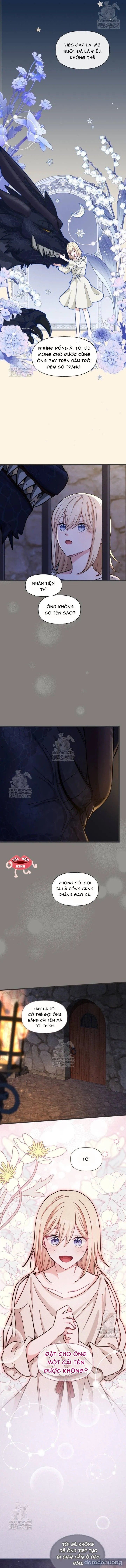 đọc truyện Bệ Hạ, Xin Hãy Quên Tôi Đi Chương 54 ảnh 7 tại Thiên Thai Truyện