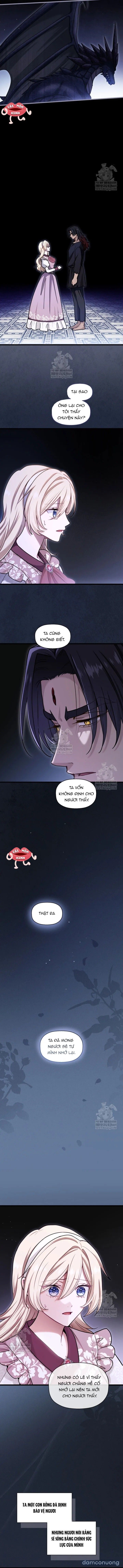 đọc truyện Bệ Hạ, Xin Hãy Quên Tôi Đi Chương 58 ảnh 8 tại Thiên Thai Truyện