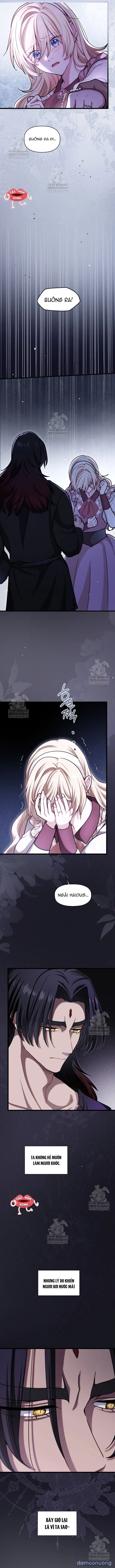 đọc truyện Bệ Hạ, Xin Hãy Quên Tôi Đi Chương 58 ảnh 11 tại Thiên Thai Truyện