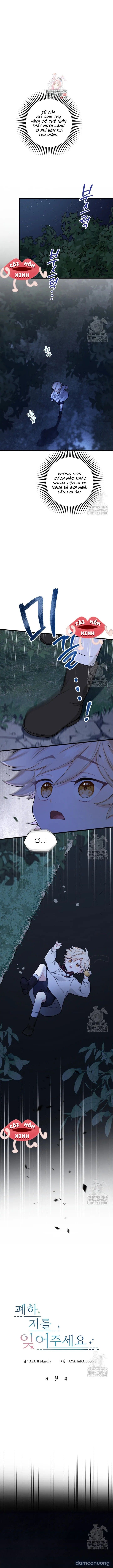 đọc truyện Bệ Hạ, Xin Hãy Quên Tôi Đi Chương 9 ảnh 2 tại Thiên Thai Truyện