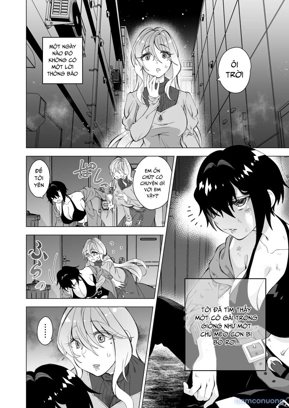 đọc truyện Bé Mèo Hoang Chương 0 ảnh 3 tại Thiên Thai Truyện