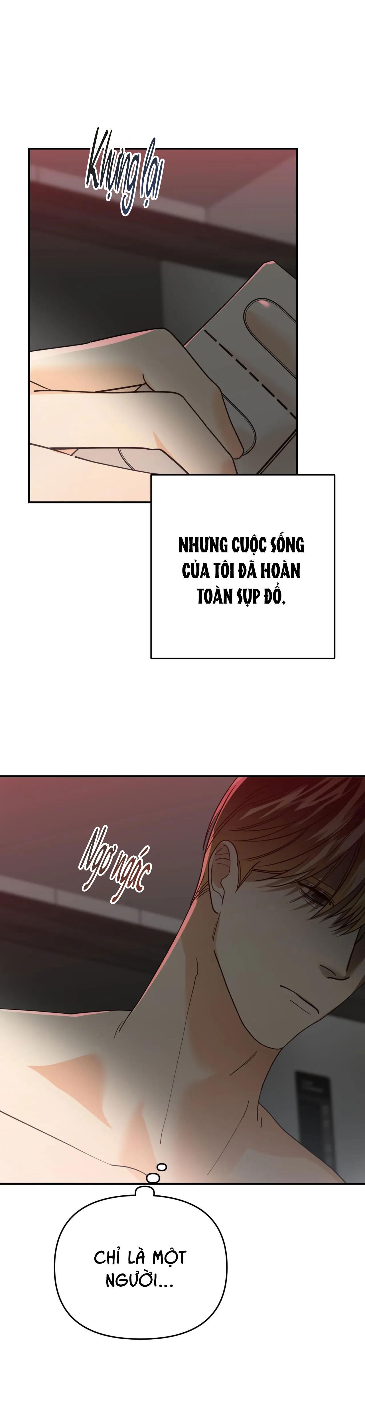 đọc truyện Betting On You Chương 43 ảnh 27 tại Giả Dược