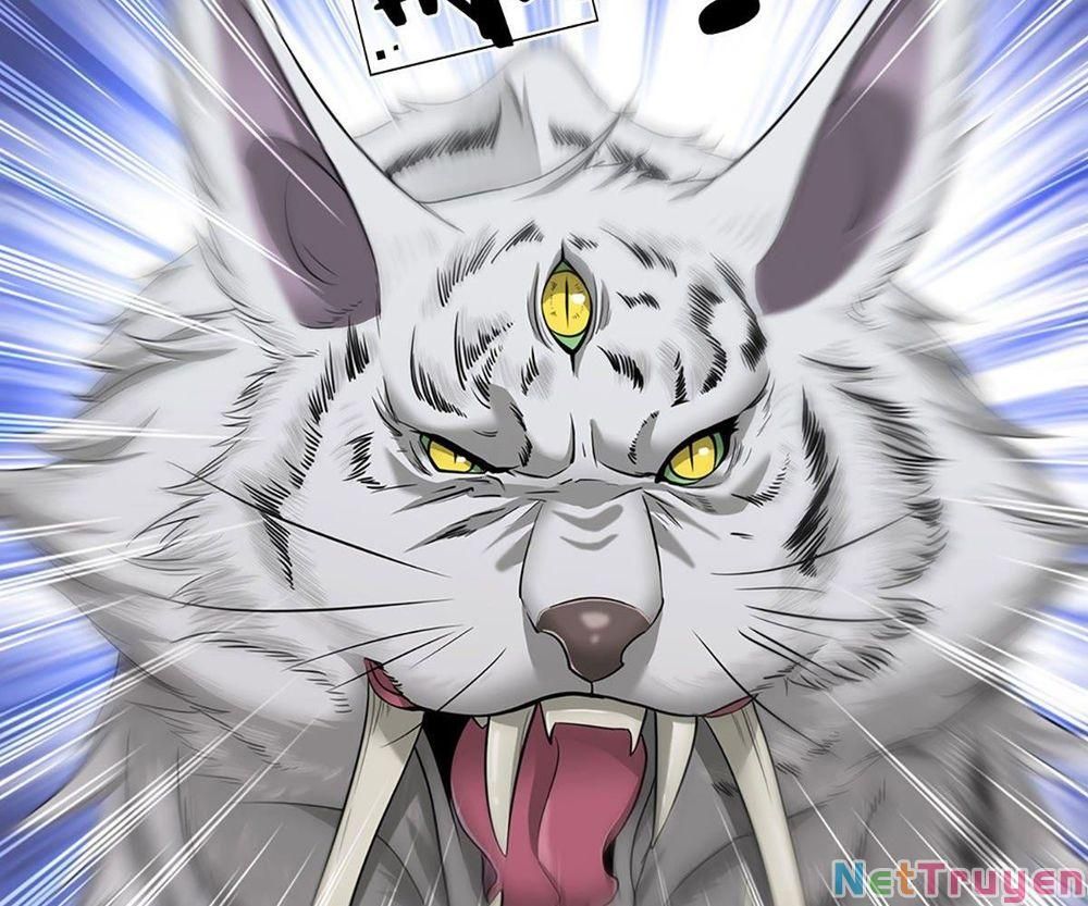 đọc truyện Bị Giam Cầm Trăm Vạn Năm Đệ Tử Ta Trải Khắp Chư Thiên Thần Giới Chương 20 ảnh 66 tại Thiên Thai Truyện