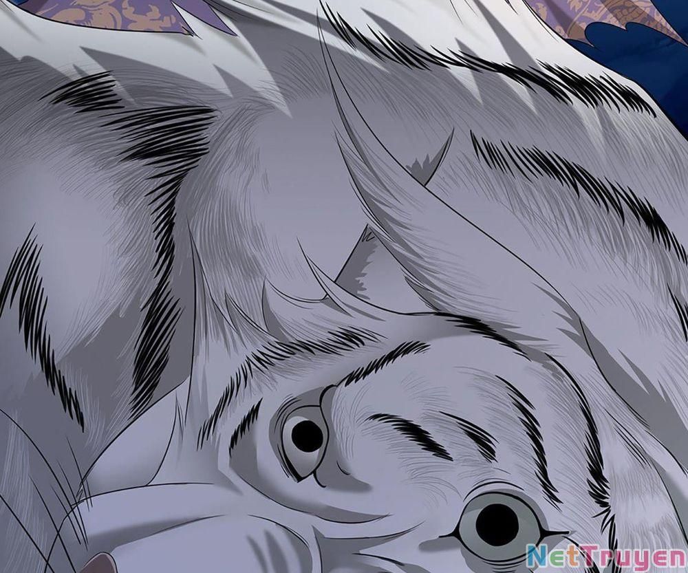 đọc truyện Bị Giam Cầm Trăm Vạn Năm Đệ Tử Ta Trải Khắp Chư Thiên Thần Giới Chương 21 ảnh 12 tại Thiên Thai Truyện