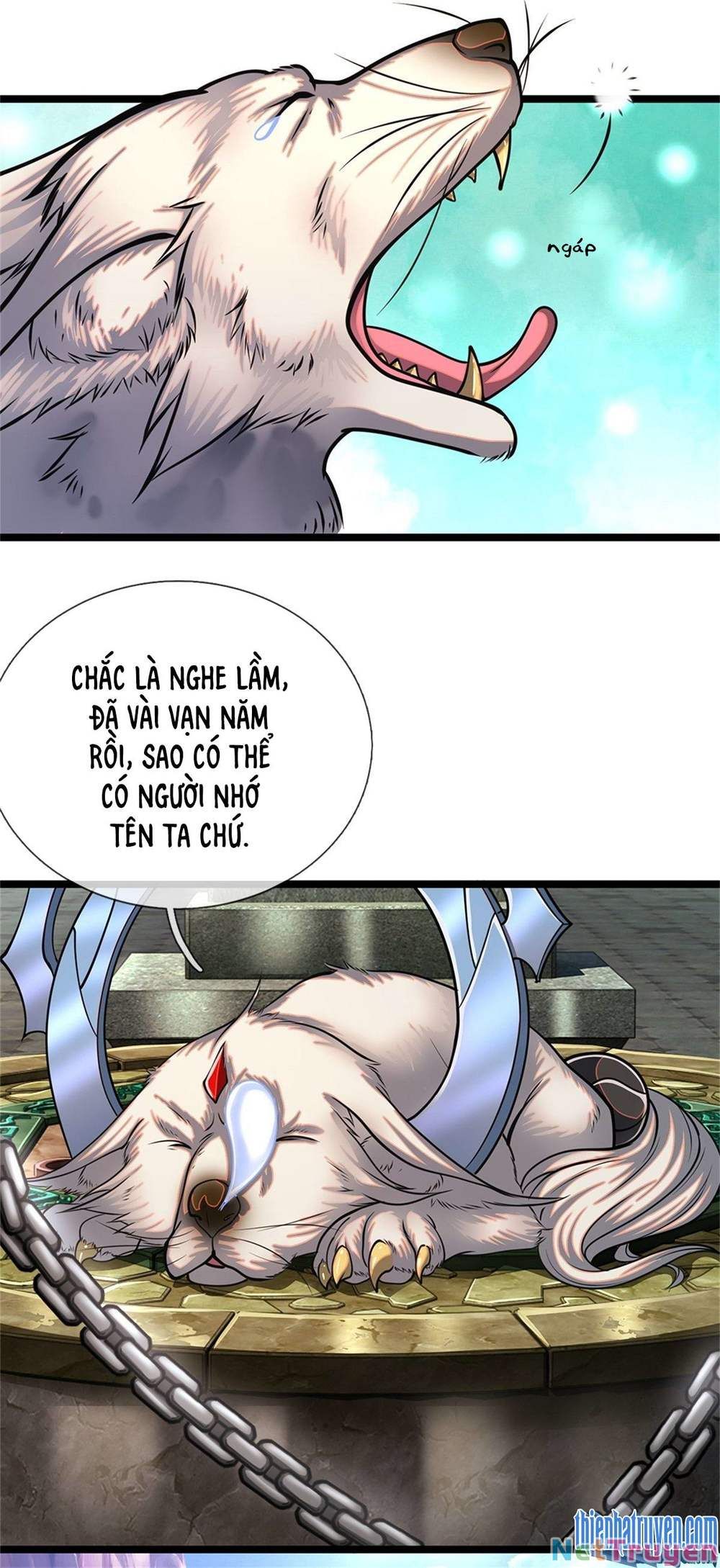 đọc truyện Bị Giam Cầm Trăm Vạn Năm Đệ Tử Ta Trải Khắp Chư Thiên Thần Giới Chương 4 ảnh 17 tại Thiên Thai Truyện