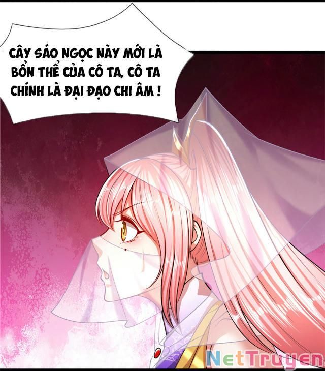 đọc truyện Bị Giam Cầm Trăm Vạn Năm Đệ Tử Ta Trải Khắp Chư Thiên Thần Giới Chương 61 ảnh 38 tại Thiên Thai Truyện