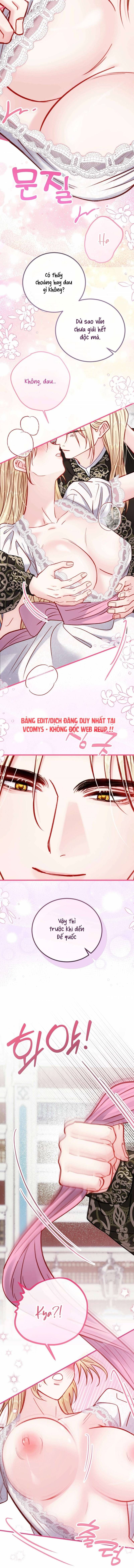 đọc truyện Bị Mắc Kẹt Trong Trò Chơi Harem Ngược Vô Vọng Chương 29 ảnh 16 tại Thiên Thai Truyện