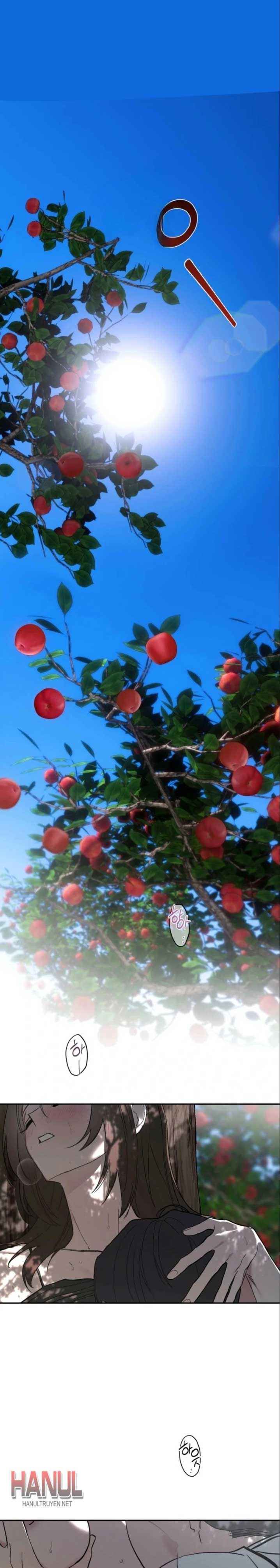 đọc truyện Bí Mật Vườn Táo Chương 1 ảnh 3 tại Thiên Thai Truyện