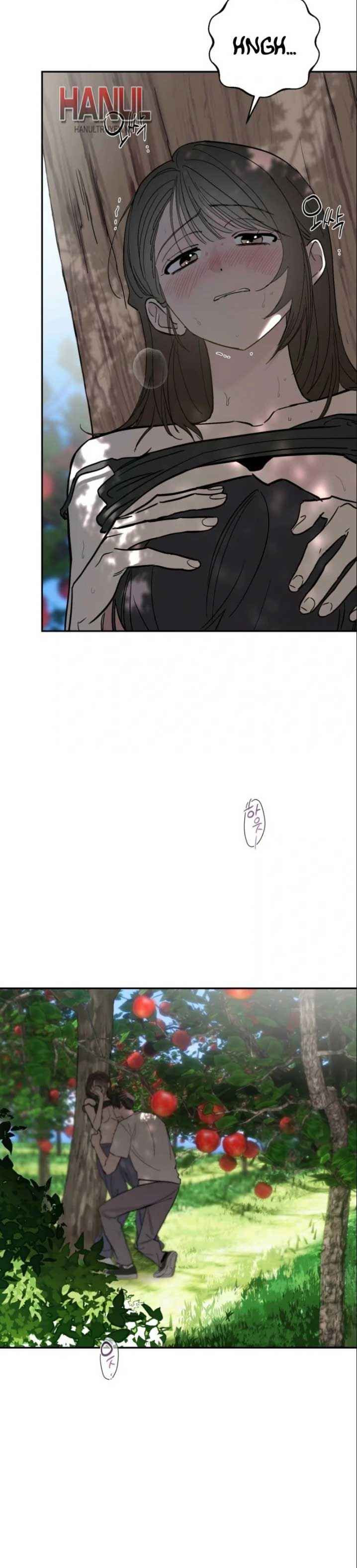 đọc truyện Bí Mật Vườn Táo Chương 1 ảnh 5 tại Thiên Thai Truyện