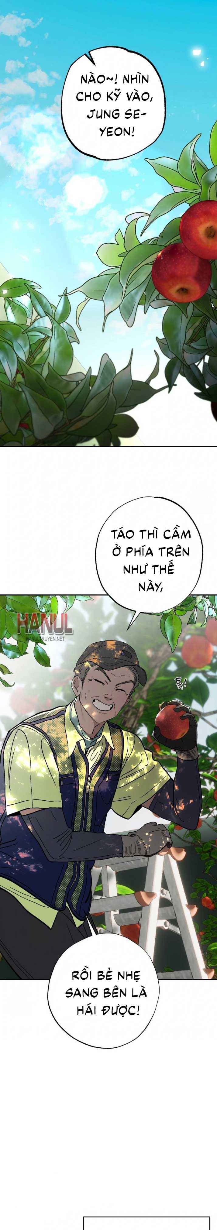 đọc truyện Bí Mật Vườn Táo Chương 10 ảnh 3 tại Thiên Thai Truyện
