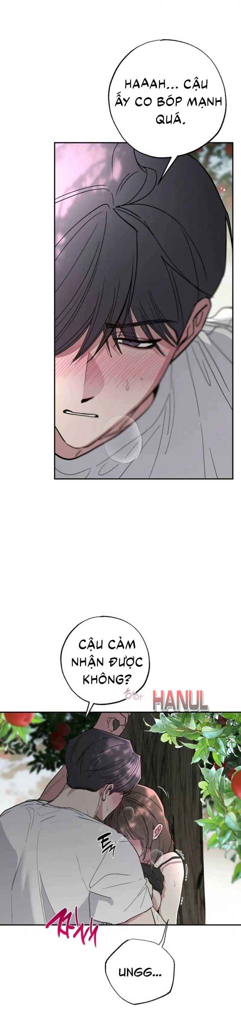 đọc truyện Bí Mật Vườn Táo Chương 5.5 ảnh 12 tại Thiên Thai Truyện