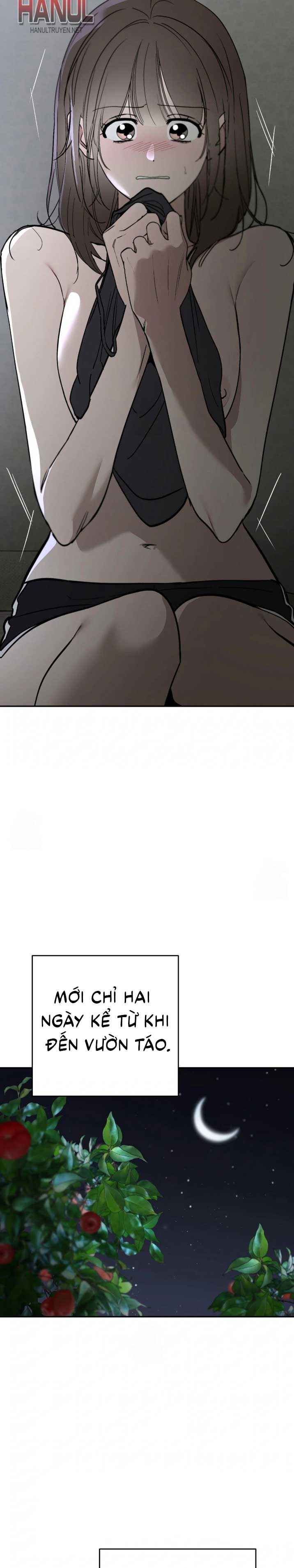 đọc truyện Bí Mật Vườn Táo Chương 9 ảnh 4 tại Thiên Thai Truyện