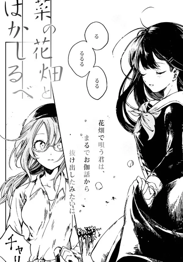  Bia Mộ Trên Cánh Đồng Hoa Cải Vàng