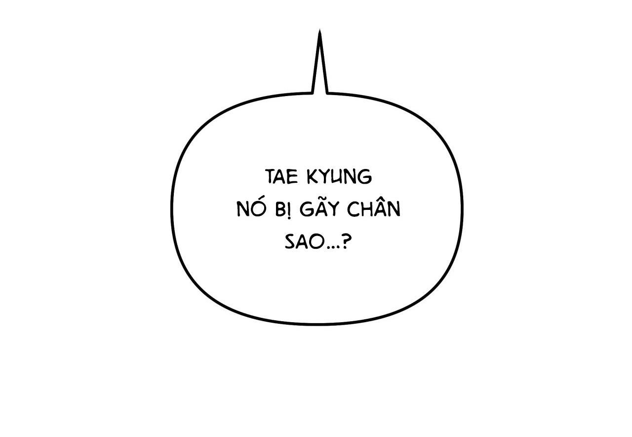 đọc truyện Bl 18+ Cây Không Có Rễ Chương 27 ảnh 87 tại Giả Dược