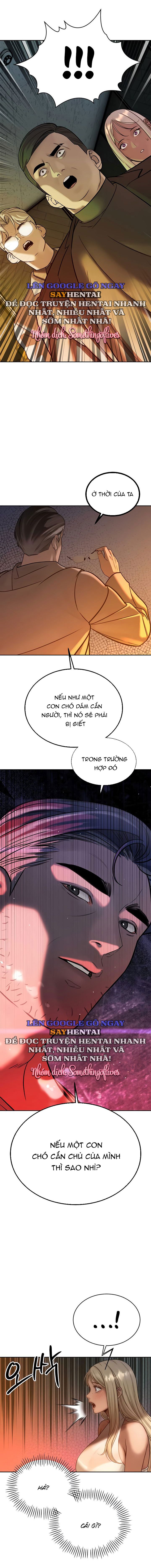 đọc truyện Bố Chồng Càn Quét Tất Cả Mọi Thứ Chương 10 ảnh 12 tại Thiên Thai Truyện