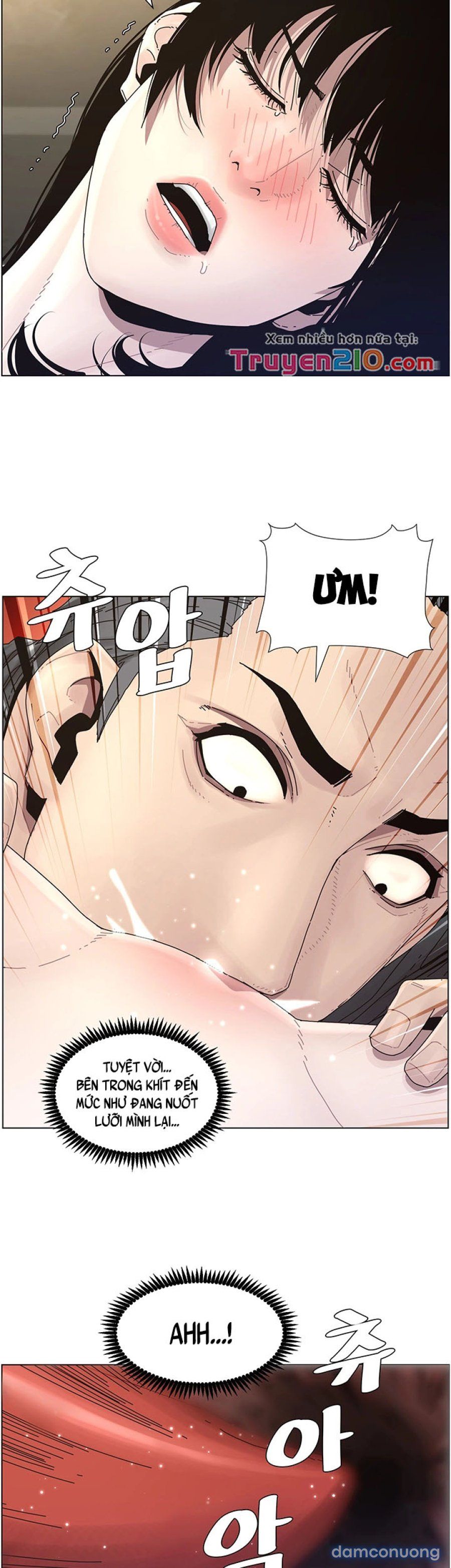 Bố Đường Chương 30 page 28 - Giả Dược