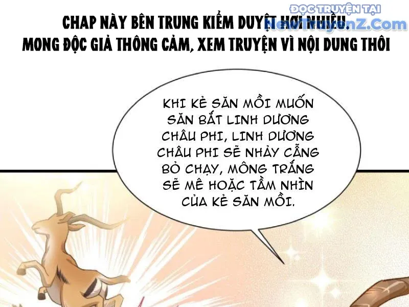 đọc truyện Bỏ Làm Simp Chúa, Ta Có Trong Tay Cả Tỉ Thần Hào Chương 197 ảnh 4 tại Thiên Thai Truyện