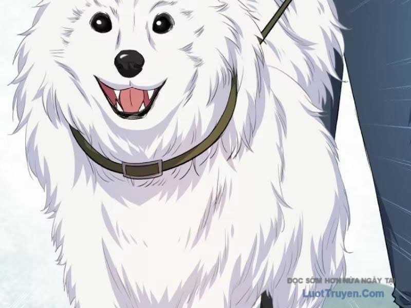 đọc truyện Bỏ Làm Simp Chúa, Ta Có Trong Tay Cả Tỉ Thần Hào Chương 253 ảnh 103 tại Thiên Thai Truyện