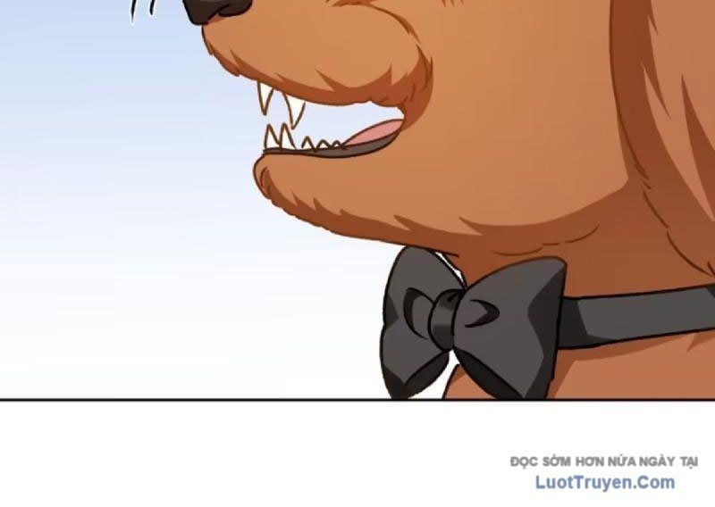 đọc truyện Bỏ Làm Simp Chúa, Ta Có Trong Tay Cả Tỉ Thần Hào Chương 253 ảnh 80 tại Thiên Thai Truyện