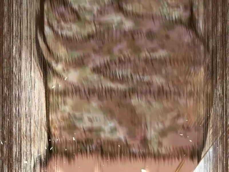 đọc truyện Bố Tôi Là Đặc Vụ Chương 138.5 ảnh 86 tại Thiên Thai Truyện