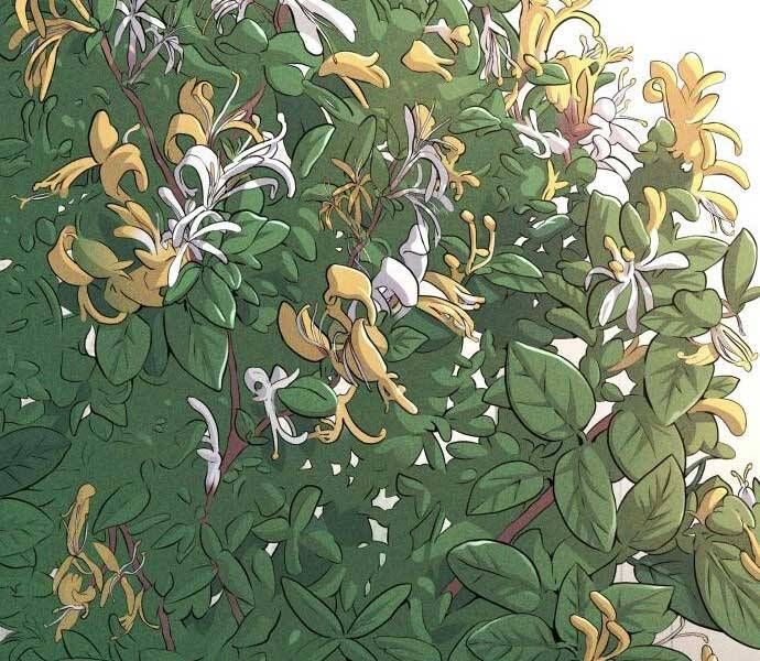 đọc truyện Bố Tôi Là Đặc Vụ Chương 41.5 ảnh 204 tại Thiên Thai Truyện