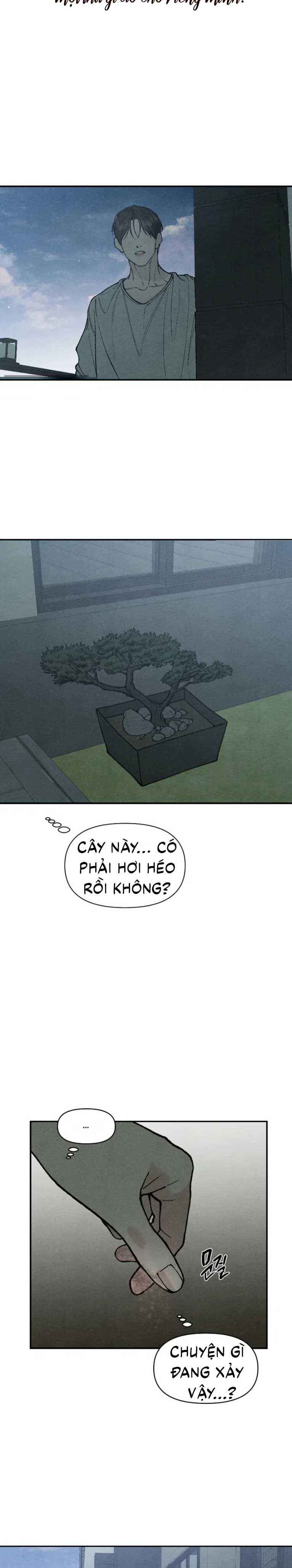 đọc truyện Bố Trẻ Chương 27 ảnh 11 tại Thiên Thai Truyện