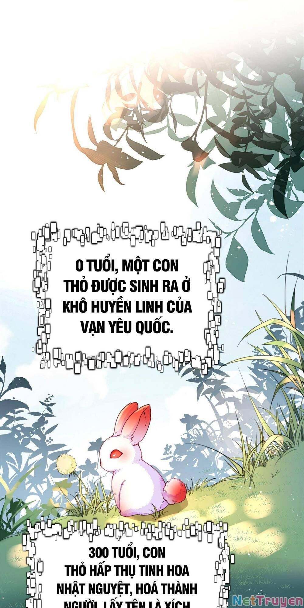 đọc truyện Bói Toán Mà Thôi, Cửu Vĩ Yêu Đế Sao Lại Thành Nương Tử Ta?! Chương 1 ảnh 47 tại Truyện Dạ Ký