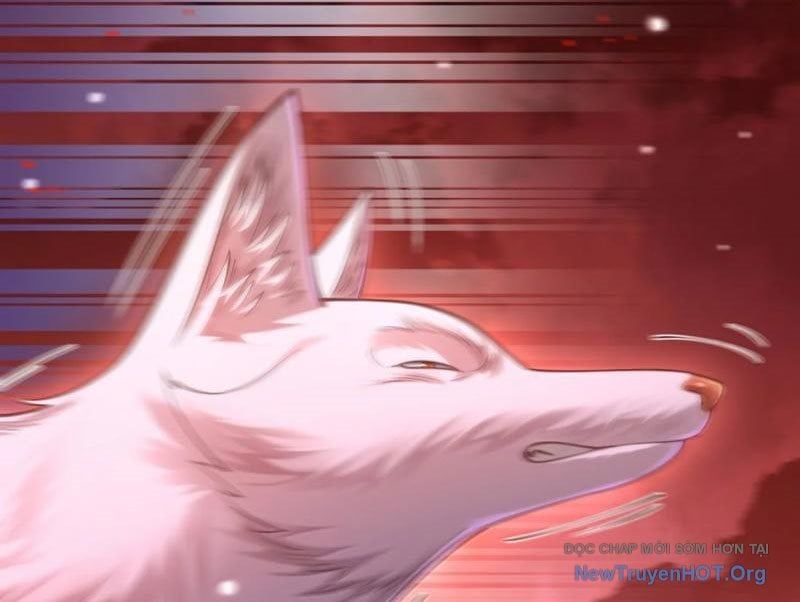 đọc truyện Bói Toán Mà Thôi, Cửu Vĩ Yêu Đế Sao Lại Thành Nương Tử Ta?! Chương 86 ảnh 132 tại Thiên Thai Truyện