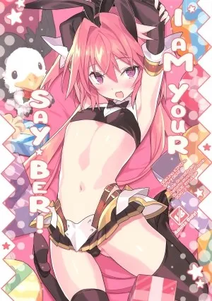 Boku Wa Kimi No Sayber! (fate/grand Order)
