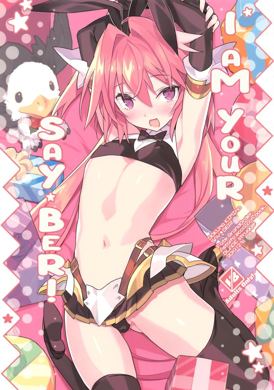 Boku Wa Kimi No Sayber! (fate/grand Order) Oneshot page 3 - Giả Dược
