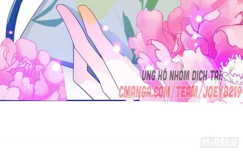 đọc truyện Bổn Vương Muốn Nàng Chương 15 ảnh 57 tại Thiên Thai Truyện
