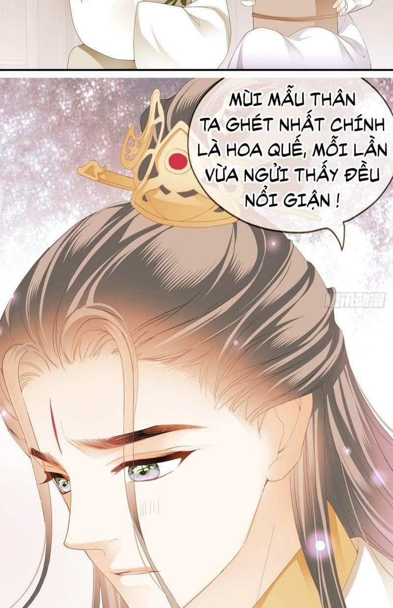 đọc truyện Bổn Vương Muốn Nàng Chương 17 ảnh 24 tại Thiên Thai Truyện