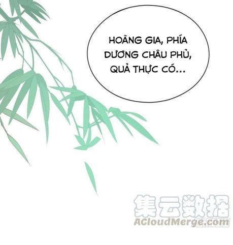 đọc truyện Bổn Vương Muốn Nàng Chương 40 ảnh 49 tại Thiên Thai Truyện