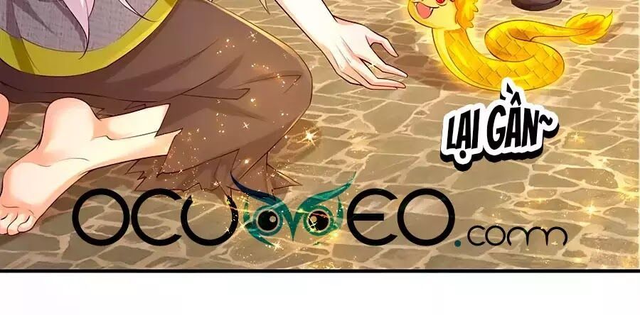 đọc truyện Bỗng Một Ngày Trở Thành Con Gái Nhà Vua Chương 122 ảnh 13 tại Thiên Thai Truyện