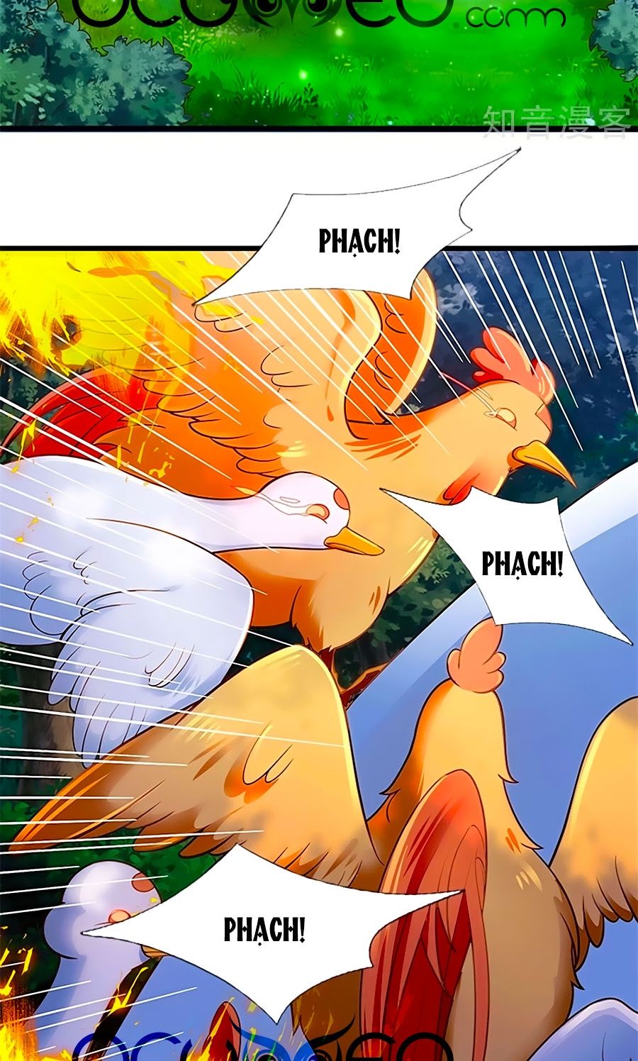 đọc truyện Bỗng Một Ngày Trở Thành Con Gái Nhà Vua Chương 242 ảnh 33 tại Thiên Thai Truyện