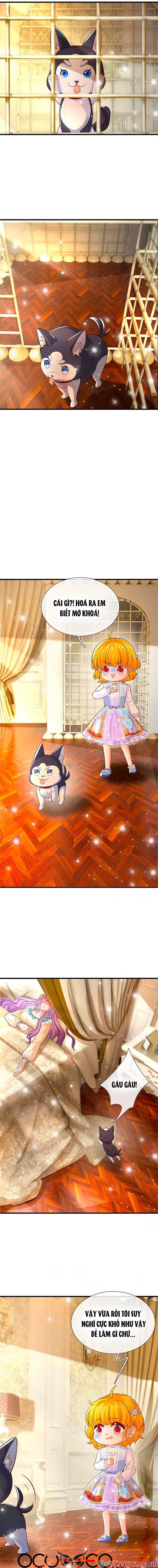 đọc truyện Bỗng Một Ngày Trở Thành Con Gái Nhà Vua Chương 309 ảnh 5 tại Thiên Thai Truyện