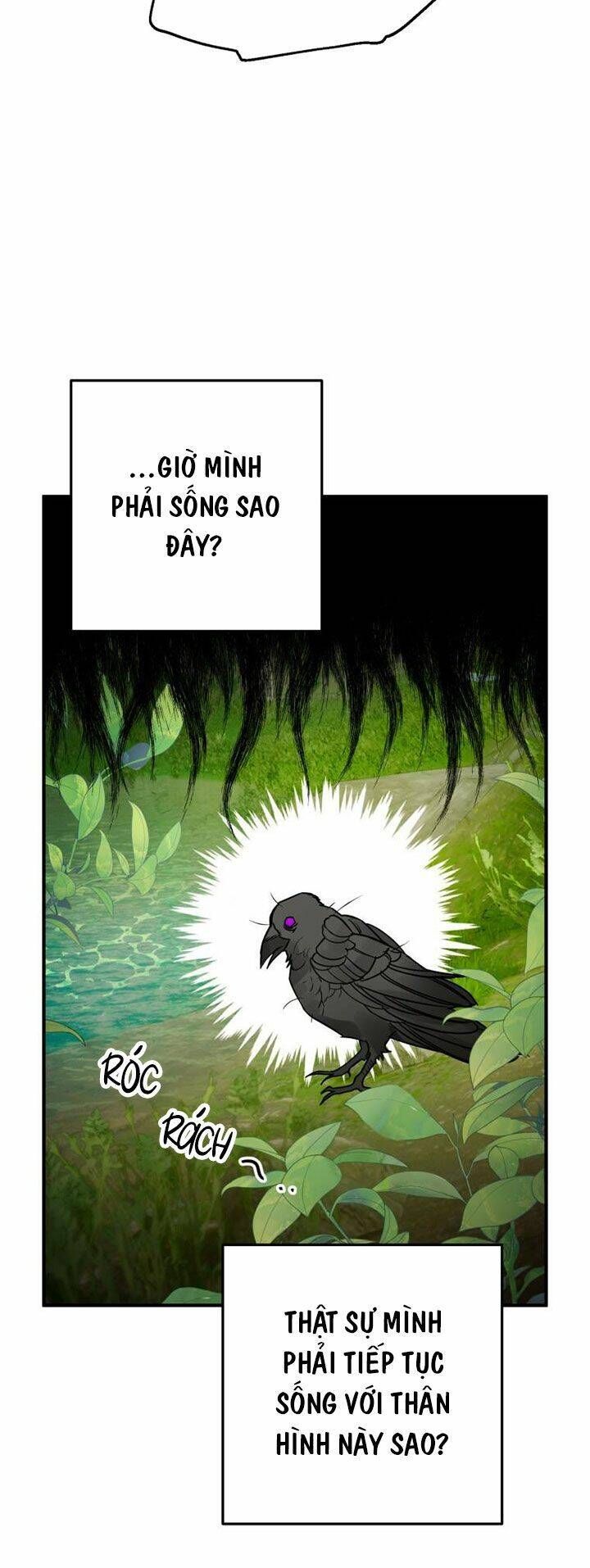 đọc truyện Bỗng Nhiên Tôi Trở Thành Quạ Đen!! Chương 1 ảnh 31 tại Thiên Thai Truyện