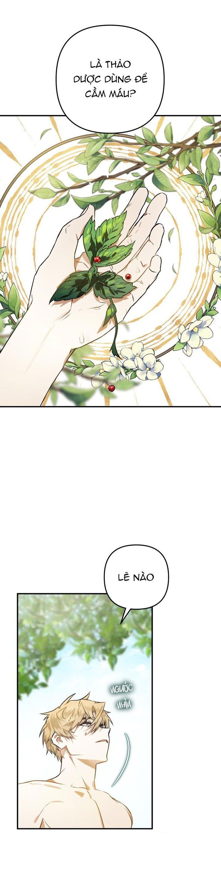 đọc truyện Bỗng Nhiên Tôi Trở Thành Quạ Đen!! Chương 2.5 ảnh 10 tại Thiên Thai Truyện