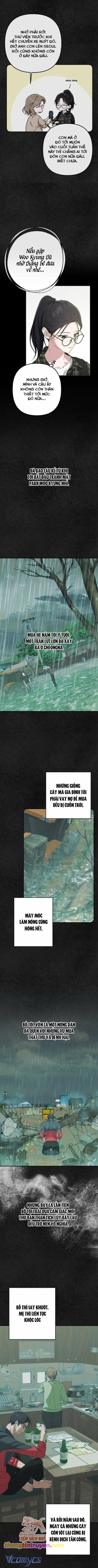 đọc truyện Bóng Râm Mùa Xuân Chương 8 ảnh 2 tại Giả Dược