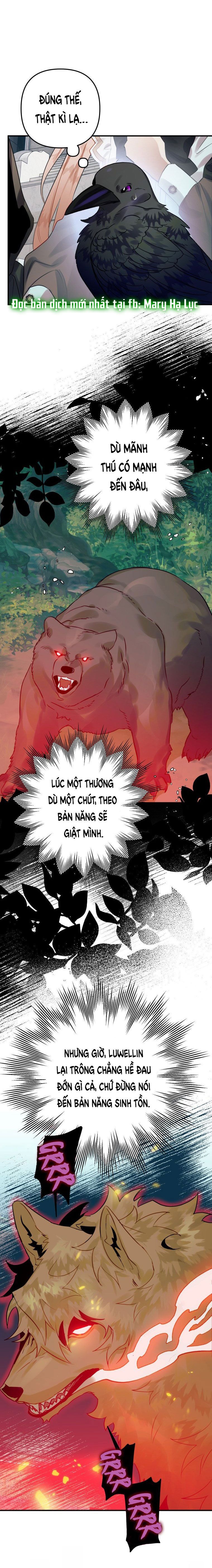 đọc truyện Bỗng Tôi Biến Thành Quạ Đen Chương 26 ảnh 23 tại Giả Dược