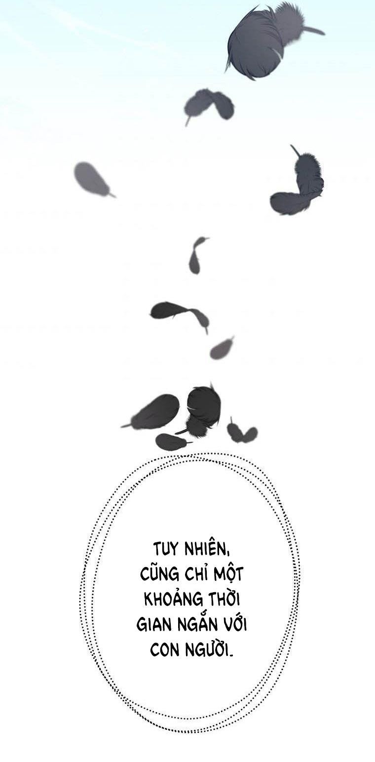 đọc truyện Bỗng Tôi Biến Thành Quạ Đen Chương 31 ảnh 33 tại Giả Dược