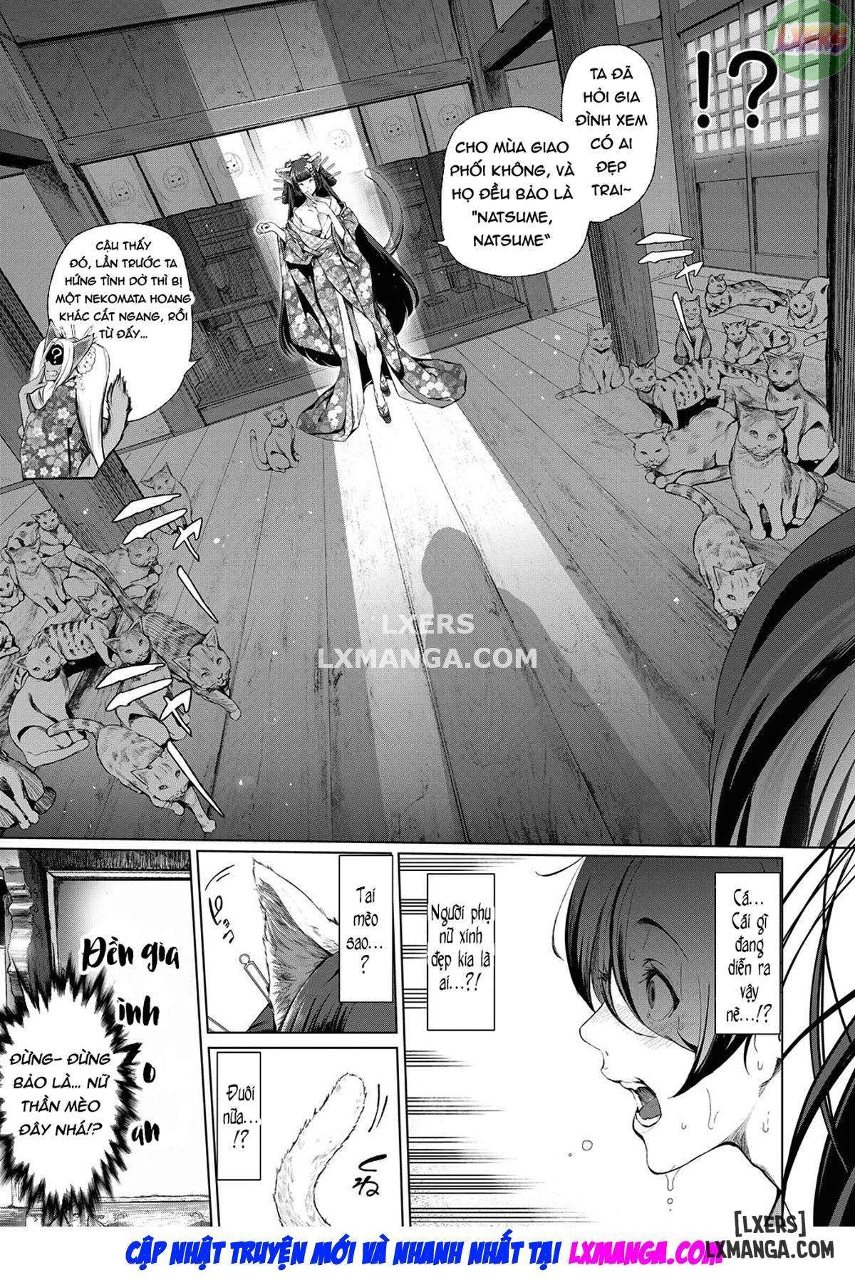 đọc truyện Boy Meets Cat Godde Chương 1 ảnh 7 tại Thiên Thai Truyện