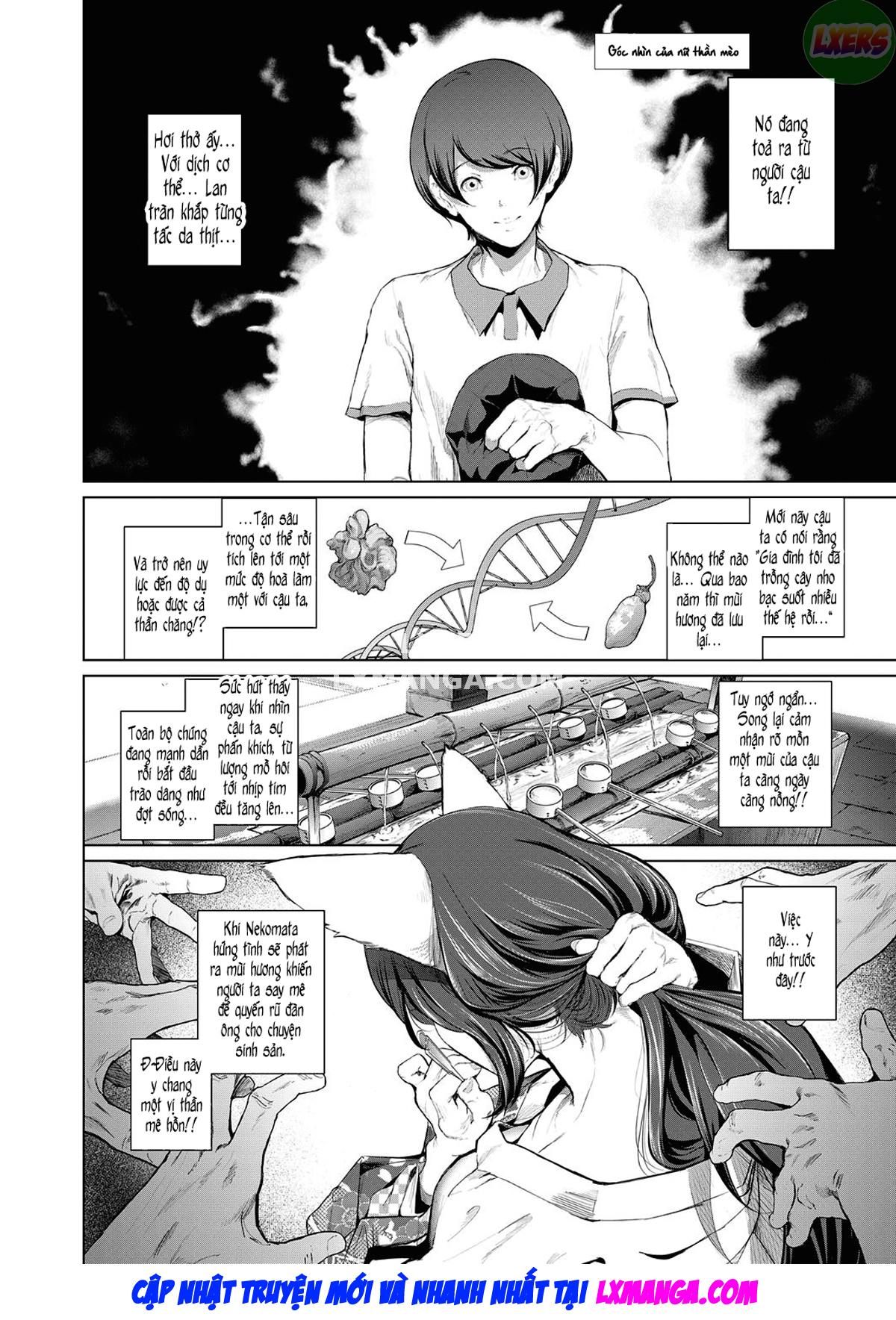 đọc truyện Boy Meets Cat Goddess Chương 1 ảnh 11 tại Truyện Dạ Ký